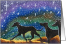 Three greyhound whippet dogs starry night holiday card