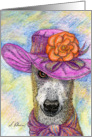 Greyhound whippet dog chuffed with new hat Card