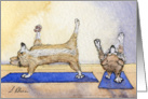 Corgi dogs practicing yoga together card