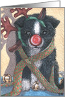 Just call me that red-nosed reindeer! card