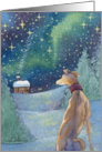 Greyhound dog gazes across the starlit snow towards the warmth of home card