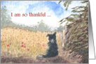 Happy Thanksgiving card