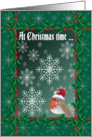 At Christmas time, Robin red breast with snowflakes card