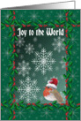 Joy to the World Christmas card, Robin red breast with snowflakes card