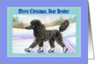 Merry Christmas Brother, black Poodle on ice skates card