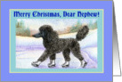Merry Christmas Nephew, black Poodle on ice skates card