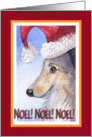Noel Christmas card, Sheltie in Santa hat card