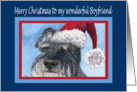 Merry Christmas Boyfriend, Schnauzer in Santa hat card