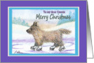 Merry Christmas Cousin, Cairn Terrier ice skating card