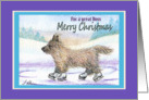 Merry Christmas Boss, Cairn Terrier ice skating card