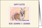 Happy Easter Grandma & Grandad, Corgi dog wearing tutu and bunny ears card