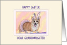 Happy Easter Granddaughter, Corgi dog wearing a tutu and bunny ears card