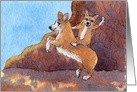 Corgi rides - humorous blank dog card
