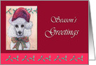 Season’s Greetings, white poodle dog in a Santa hat card