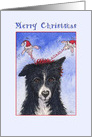 Merry Christmas, border collie dog with Christmas head boppers card