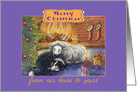 Merry Christmas our house to yours, border collie dog and sheep card