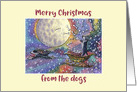 Merry Christmas from the dogs, border collie dogs in santa sleigh card