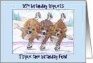 Happy 16th birthday triplets, corgi dogs ice skating triplets card