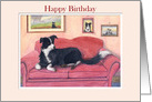 Happy Birthday, border collie dog on the sofa card