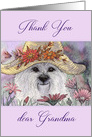 Thank you dear grandma, westie dog among flowers card