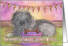 Happy Birthday, OES, Old English Sheepdog, grey hairs, card