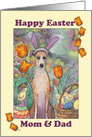 Happy Easter, Mom & Dad. Whippet dog in bunny ears card