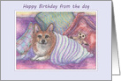 Happy Birthday from the dog, welsh corgi dog, cosy, teddy bear, card