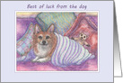 Best of luck from the dog, welsh corgi dog, cosy, teddy bear, card