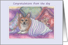 Congratulations from the dog, welsh corgi dog, cosy, teddy bear, card