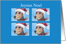 Joyeux Noel, greyhound dog Christmas card