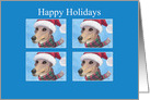 Happy Holidays, greyhound dog festive card