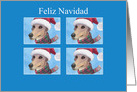 Feliz Navidad, greyhound dog Christmas card