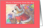 Merry Christmas from the dog, Corgi dog dressed as Santa card