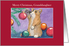 Merry Christmas, Granddaughter, Corgi Dog & Christmas Tree card