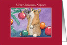 Merry Christmas, Nephew, Corgi Dog & Christmas Tree card