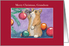 Merry Christmas, Grandson, Corgi Dog & Christmas Tree card