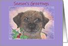 Season’s Greetings, Border Terrier Dog & Holly card