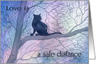 A Lucky Black Cat is Happy to Sit in a Tree -at a Safe Distance card