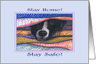 Stay Home! Stay Safe! Border Collie Dog in the Airing Cupboard card