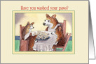 Have You Washed your Paws? Corgi Mom Making Sure her Pups are Safe card