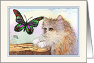 Cat Watching Butterfly thinking about Treasuring the Little Things Any Occasion card