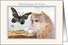 Cat Watching Butterfly but really Thinking of You Can’t Wait to See You. card