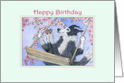 Border Collie Dog Swinging in the Blossom, Happy Birthday card