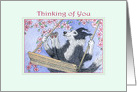 Border Collie Dog Swinging in the Blossom, Thinking of You card