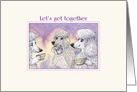Let’s get Together, Three Poodle Dogs Drinking Coffee and Tea card