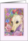 Shy Whippet Dog Hides in the Roses and Penstemon Flowers Blank Card
