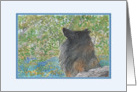 Belgian Tervuren Dog Enjoys the Atmosphere in Bluebell Woods card