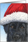 Happy Holidays to you from me, Labrador card