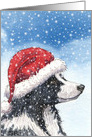 Happy Christmas! Border Collie card