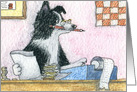 Plain for your own greeting, dog, border collie, accountant, card